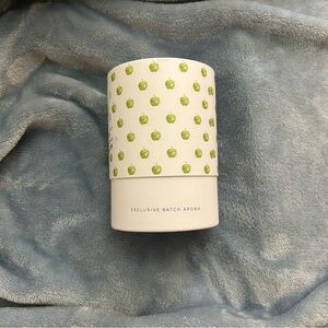 Pier 1 boxed soy Exclusive Batch Aroma candle Apple Mint Bougie AB2103
